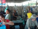 Dział rybny na bazarze w Odessie