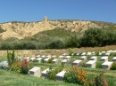 cmentarz żołnierzy brytyjskiego imperium