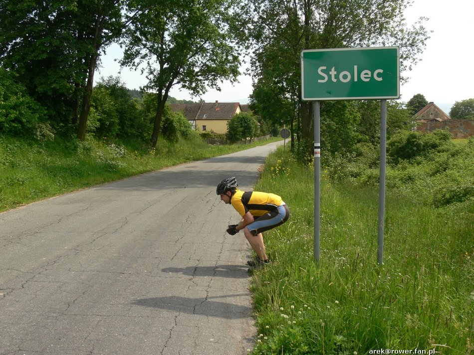 d.jpg