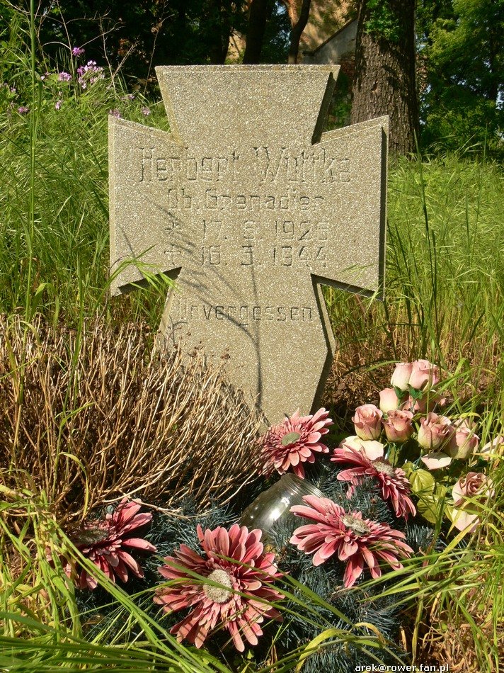 herbertwuttke.jpg